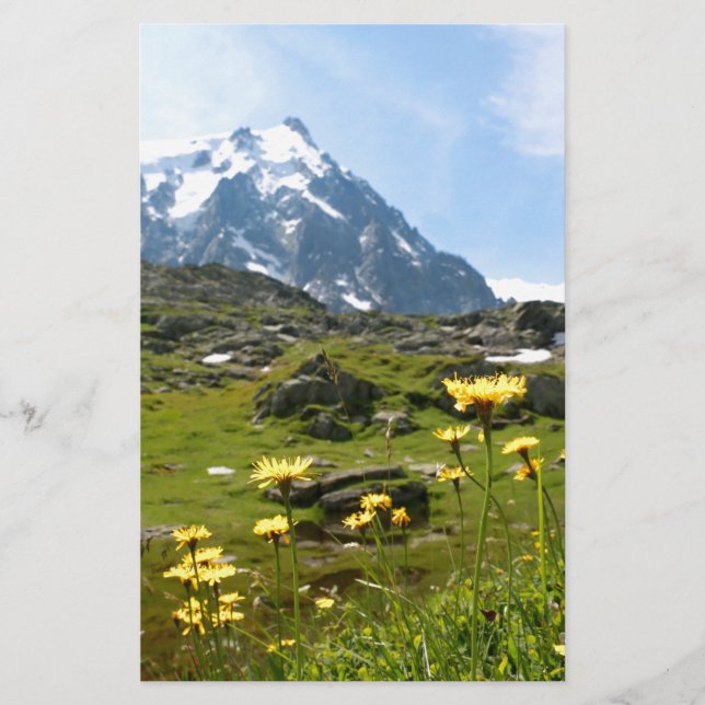Fleurs alpines - Magnifique ! (Devant)