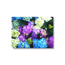Fleurs blanches bleues colorées Impression sur toi