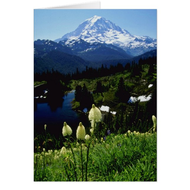 fleurs blanches du mont Rainier (Devant)