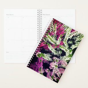 Fleurs blanches, roses et violettes