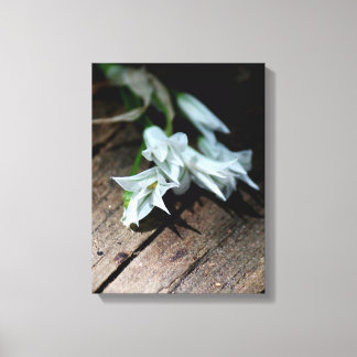 Fleurs blanches sur un banc Impression sur toile