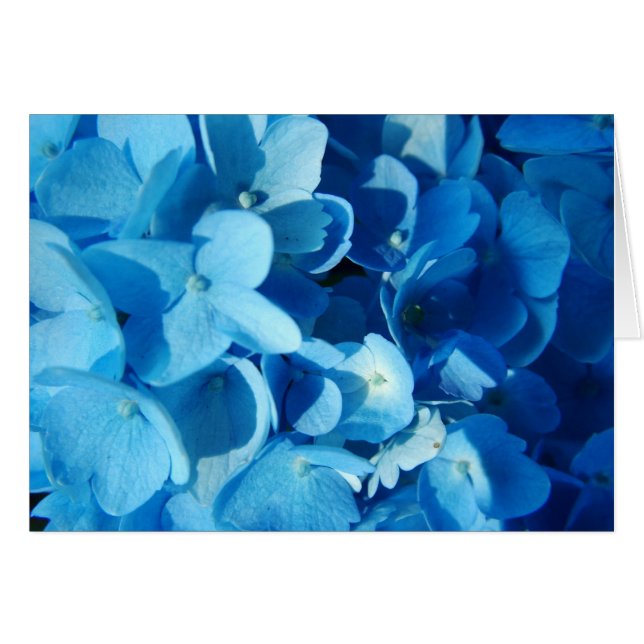 fleurs bleues (Devant horizontal)
