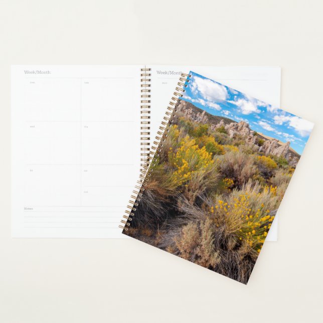 Fleurs | Blooming Sagebrush Californie (Devant avec enveloppe)
