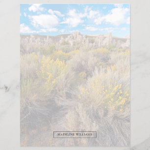 Fleurs Blooming Sagebrush Californie