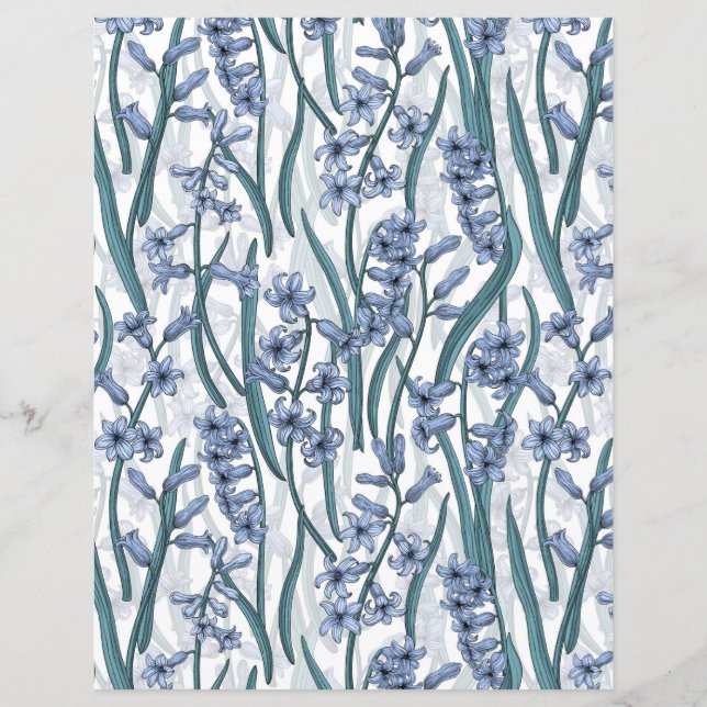 Fleurs Blue Hyacinth sur blanc (Devant)