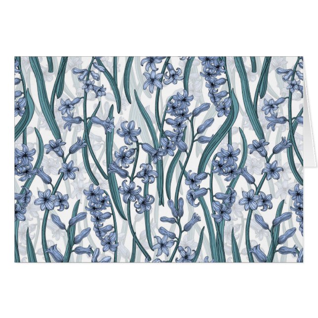 Fleurs Blue Hyacinth sur blanc (Devant horizontal)