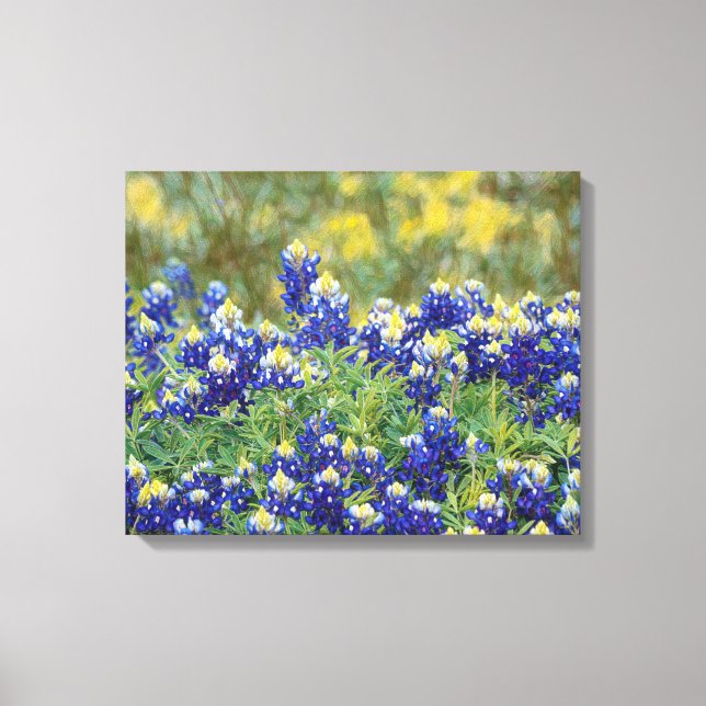 Fleurs Bluebonnet du Texas sauvage toile d'art (Recto)