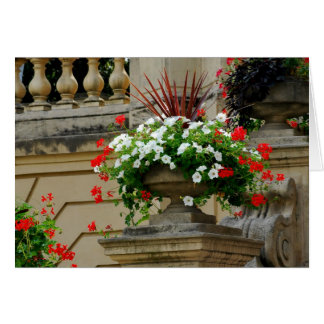 Fleurs Carrés du capitaine