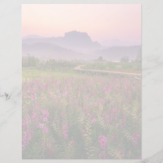 Fleurs | Chiang Dao, Chiang Mai, Thaïlande (Devant)