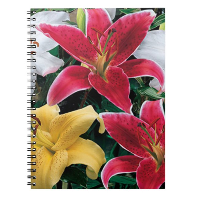 Fleurs colorées Carnet spiral (Devant)