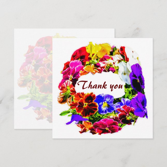 Fleurs colorées en Pansy (Devant / Derrière)