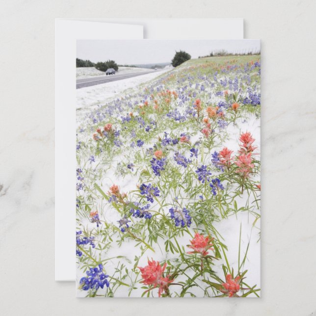 Fleurs congelées (Devant)
