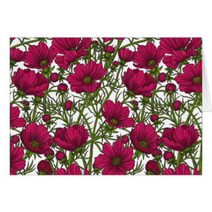 Fleurs Cosmos roses