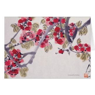 Fleurs d'abricot