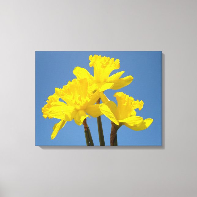 Fleurs Daddofil Impressions sur toile Ciel Bleu (Recto)
