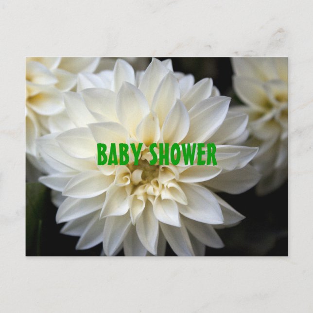 fleurs dahlia blanches baby shower invitation (Devant)