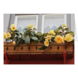 Fleurs dans une jardinière