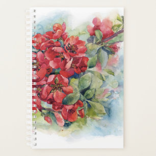 Fleurs d'aquarelle fleurs de coing rouge pomme ill