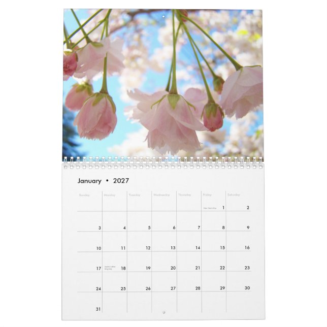 Fleurs d'arbres de nature de calendrier de ressort (Jan 2027)