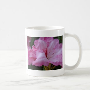 FLEURS D'AZALÉE ROSE 29 Cartes Cadeaux Tasses Azal
