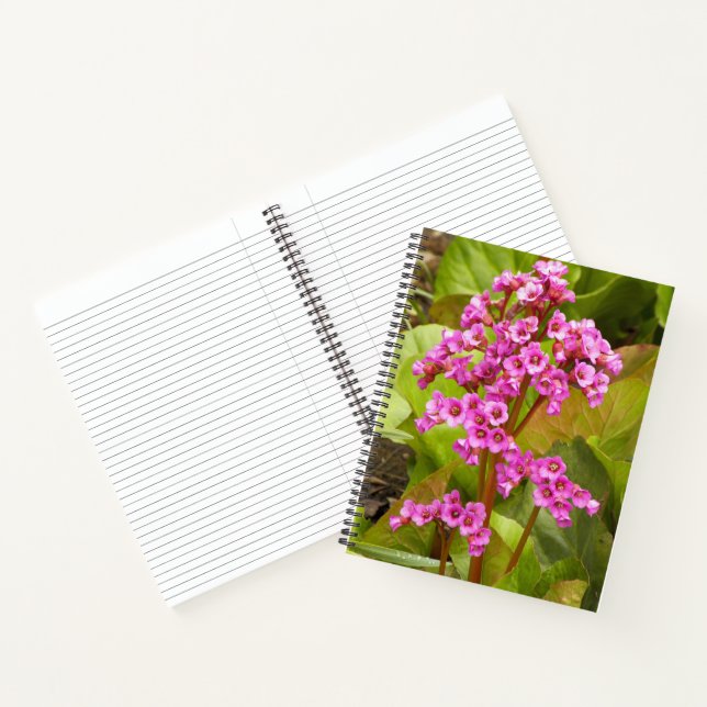 Fleurs de Bergénie Rose Cahier Floral (Intérieur)