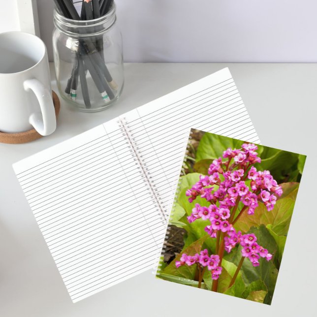 Fleurs de Bergénie Rose Cahier Floral (In Situ)