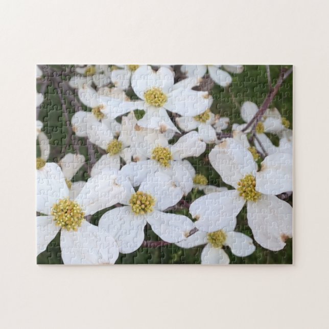 Fleurs de bois de chien blanc Puzzles photo (Horizontal)