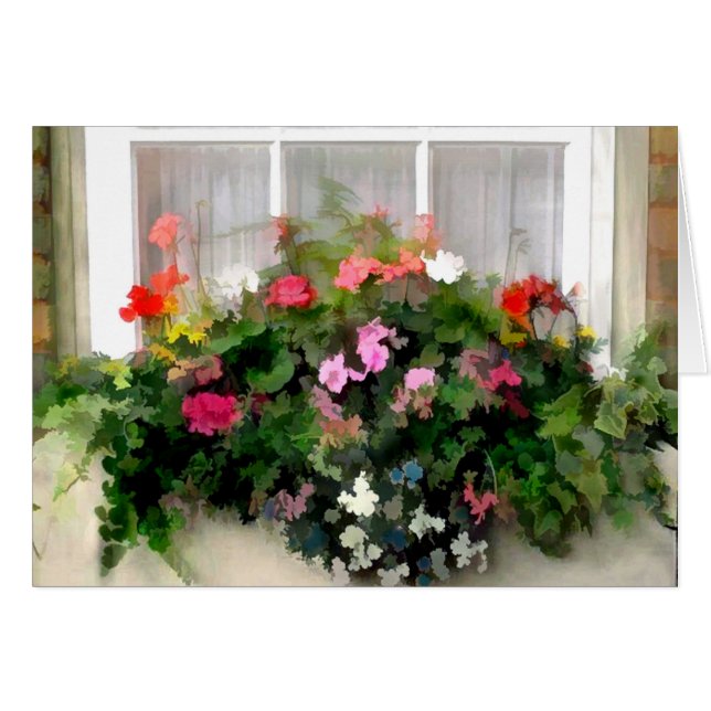 Fleurs de boîte de fenêtre (Devant horizontal)