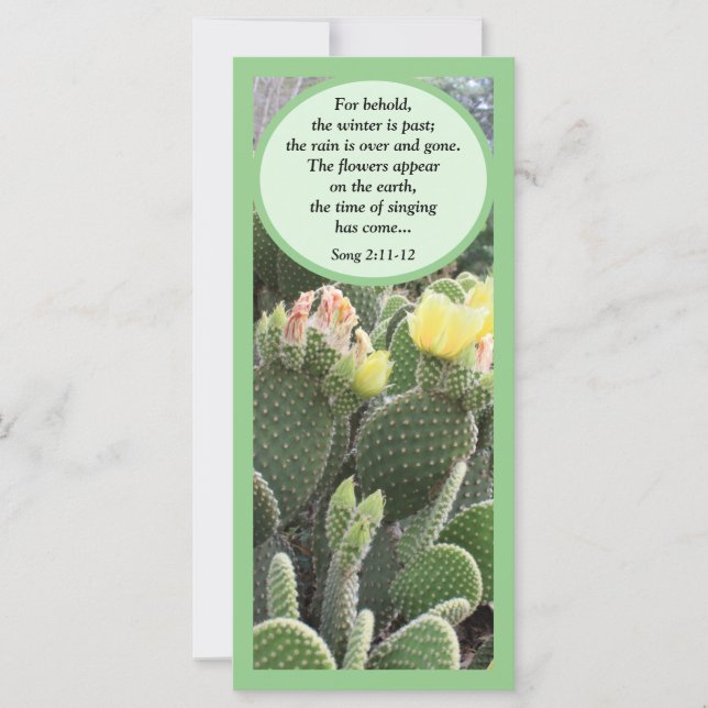 Fleurs de cactus Chanson de Solomon Flat Card (Devant)