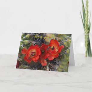 Fleurs de cactus pliées Carte de remerciements