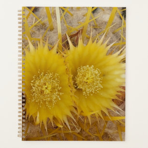 Fleurs de cactus vibrantes en fleur de fleur de fl