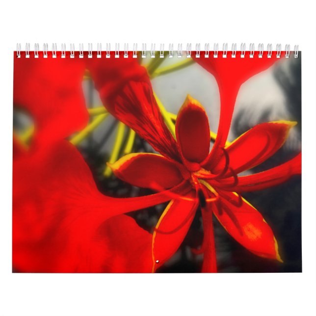 Fleurs de calendrier (Protection)