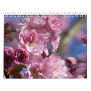 Fleurs de calendrier
