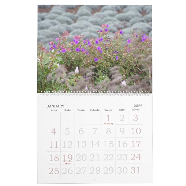Fleurs de calendrier de Maui 2008 (Jan 2026)