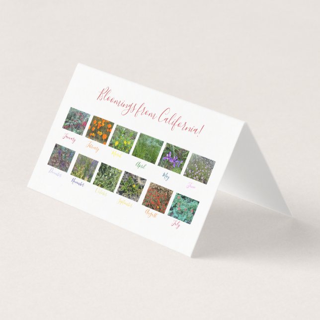 Fleurs de Californie ! (Front)