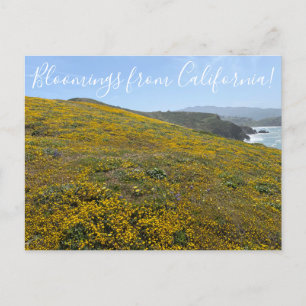 Fleurs de Californie ! Carte postale