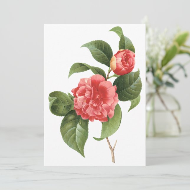 Fleurs de Camellia rose par Redoute Invitation (Debout devant)