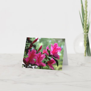 Fleurs de cartes à notes