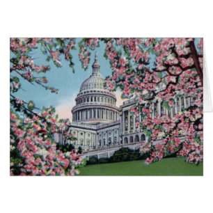 Fleurs de cerisier de Capitol Hill de Washington