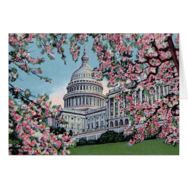 Fleurs de cerisier de Capitol Hill de Washington (Devant horizontal)