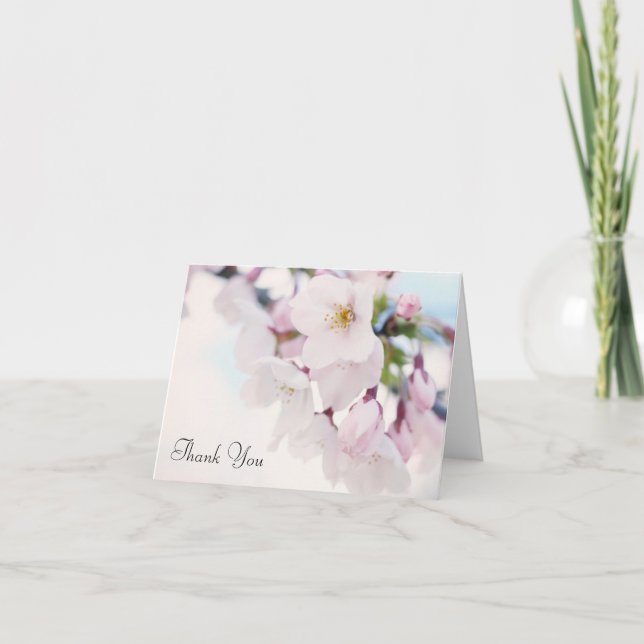 Fleurs de cerisier Merci (Devant)