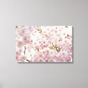 Fleurs de cerisier romantiques et petite toile
