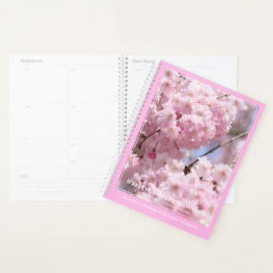 Fleurs de cerisiers larmes [Ordinateur portable du
