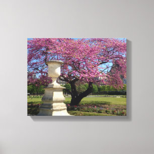 Fleurs de cerisiers Paris France toile Imprimer