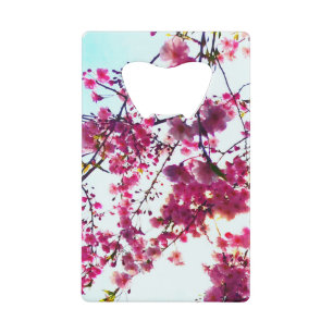 Fleurs de cerisiers roses