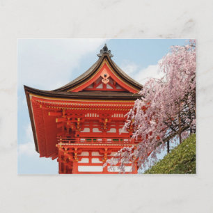 Fleurs de cerisiers sur la carte postale de Kiyomi