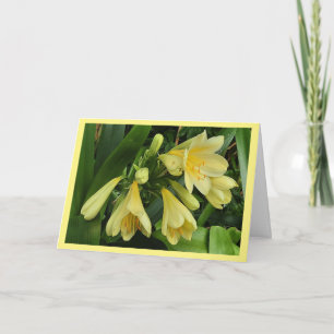 Fleurs de clivea jaune avec carte de bordure jaune