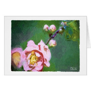 Fleurs de coing/apparence florale/aquarelle