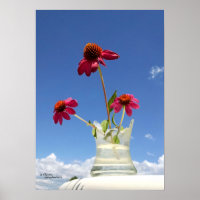Fleurs de confleurs roses Poster