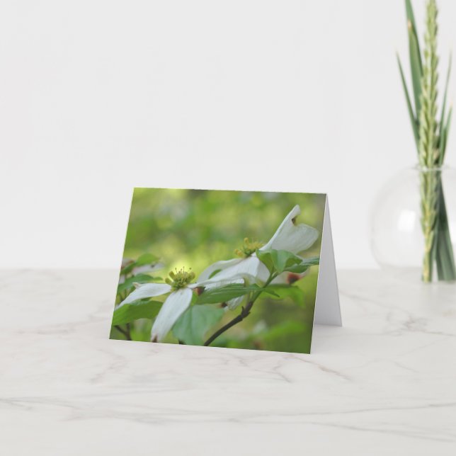 Fleurs de cornouiller personnalisées  (Devant)